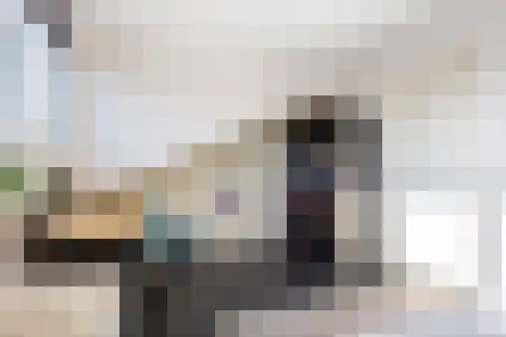 Laan van Avant-Garde 396 Rotterdam thumbnail 22