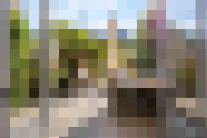 Laan van Avant-Garde 396 Rotterdam thumbnail 25