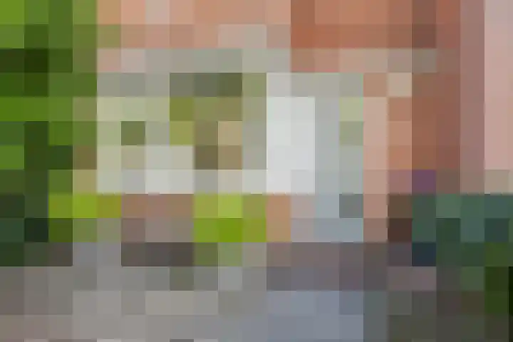 Laan van Avant-Garde 396 Rotterdam thumbnail 29