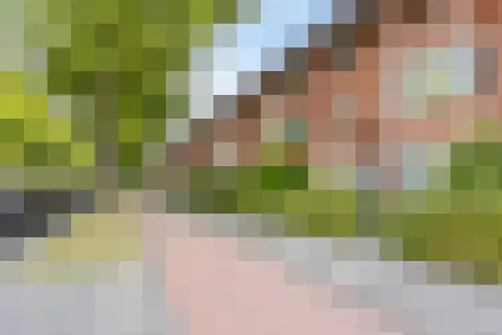 Laan van Avant-Garde 396 Rotterdam thumbnail 30
