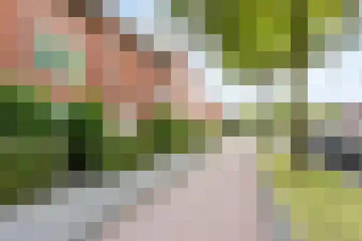 Laan van Avant-Garde 396 Rotterdam thumbnail 31