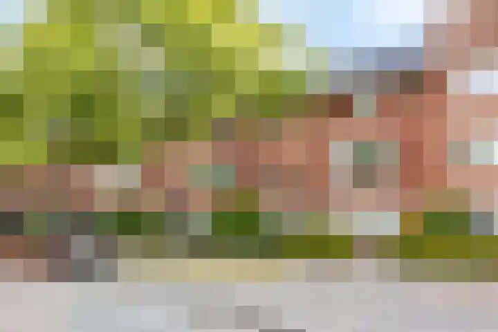 Laan van Avant-Garde 396 Rotterdam thumbnail 32