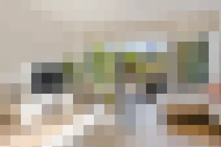 Laan van Avant-Garde 396 Rotterdam thumbnail 6