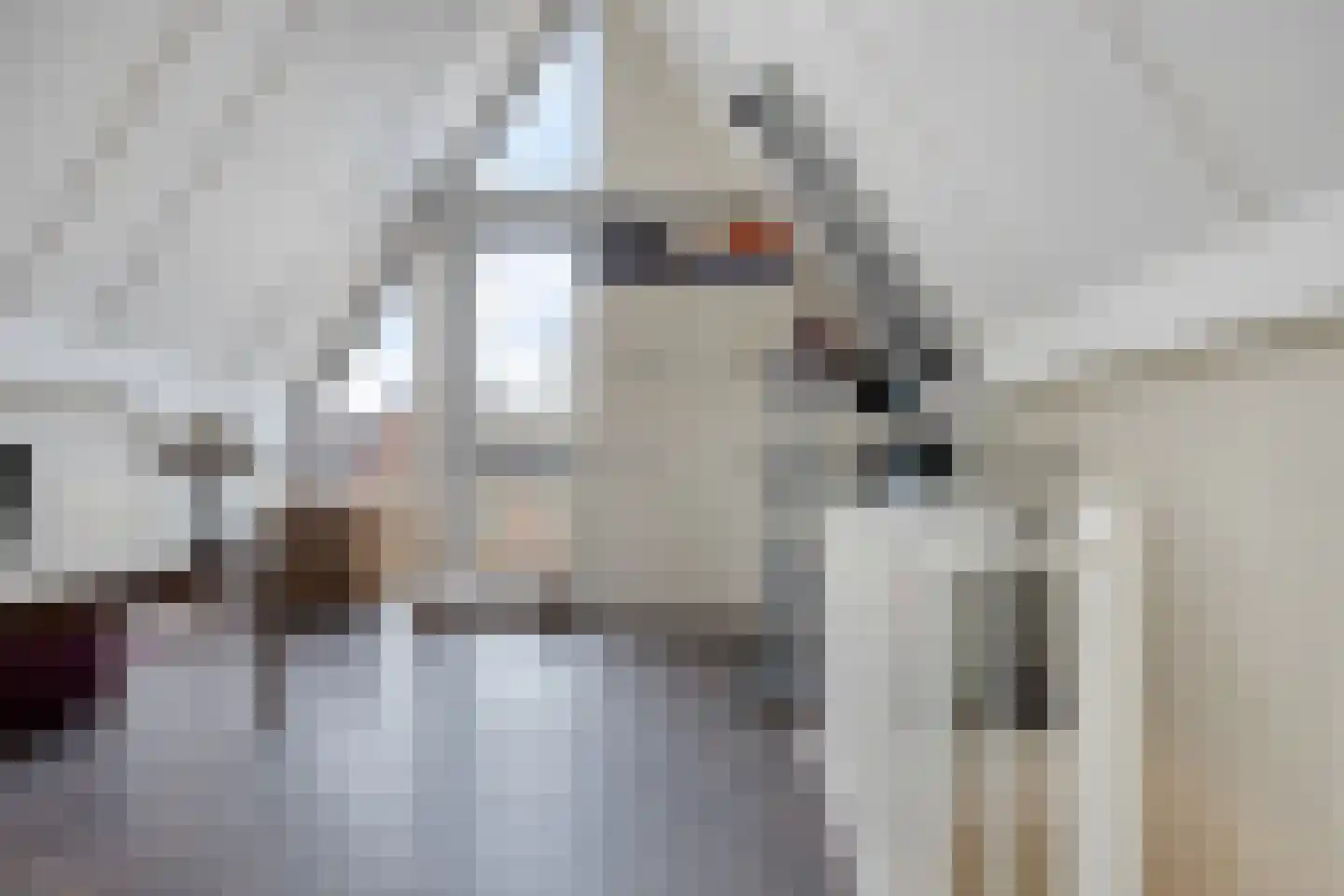 Laan van Avant-Garde 452 Rotterdam thumbnail 34