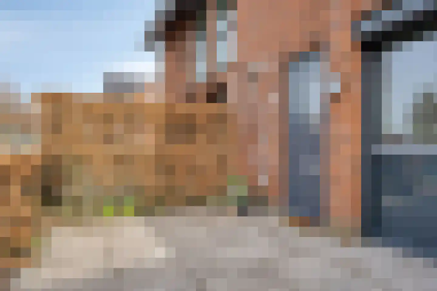 Laan van Avant-Garde 452 Rotterdam thumbnail 7
