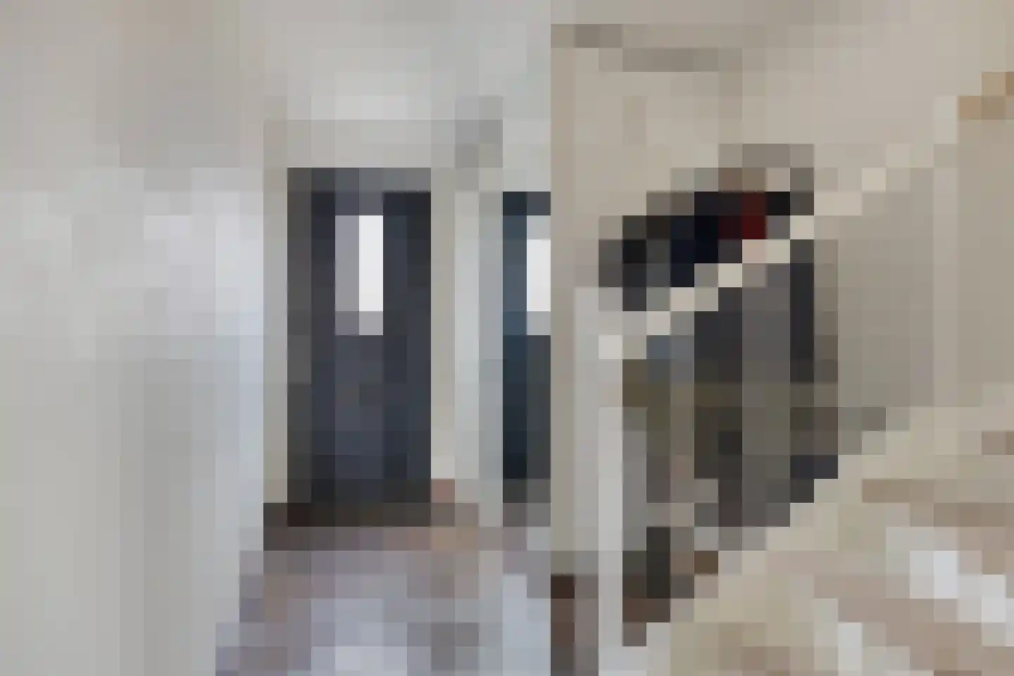 Laan van Avant-Garde 452 Rotterdam thumbnail 8