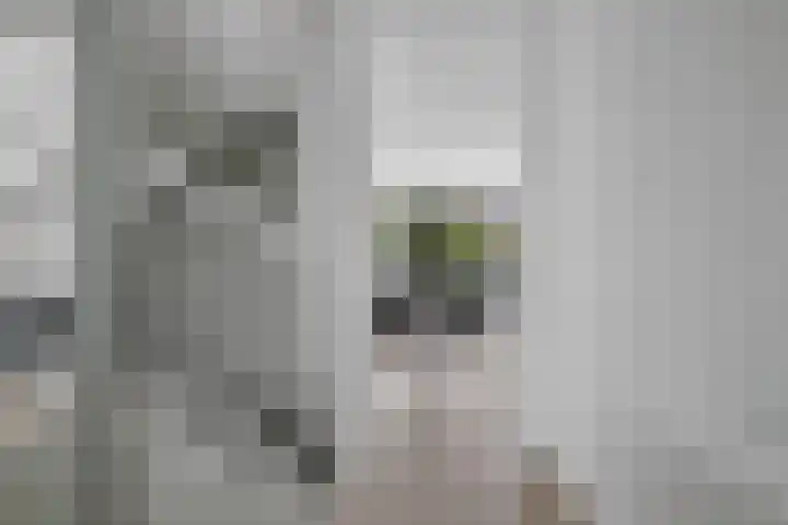 Laan van Avant-Garde 464 Rotterdam thumbnail 12