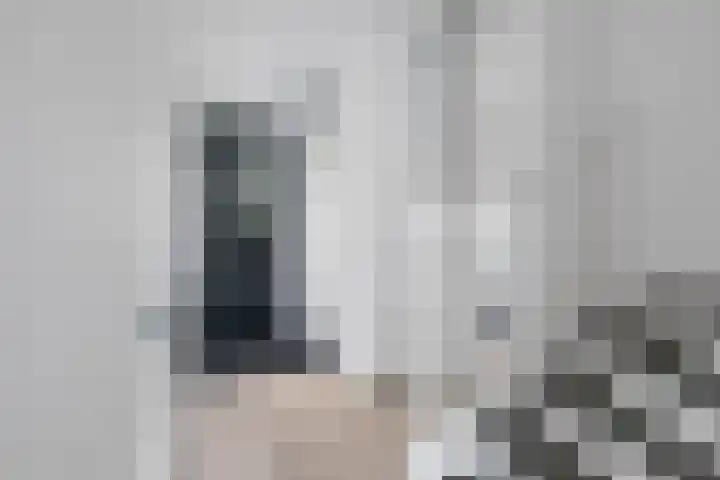 Laan van Avant-Garde 464 Rotterdam thumbnail 13