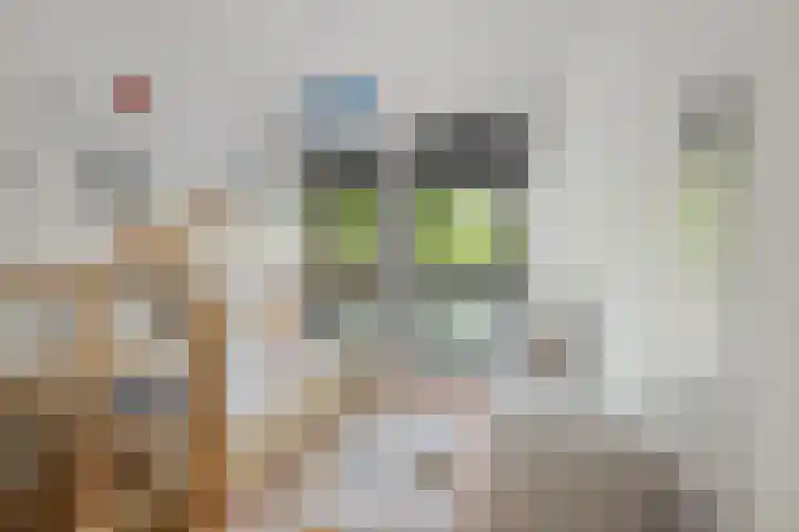 Laan van Avant-Garde 464 Rotterdam thumbnail 18