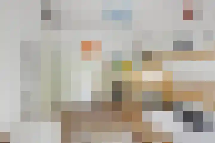 Laan van Avant-Garde 464 Rotterdam thumbnail 19
