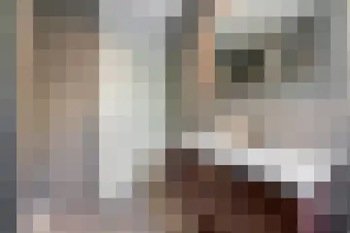Laan van Avant-Garde 464 Rotterdam thumbnail 22