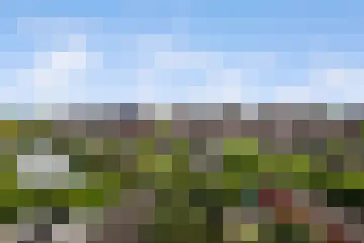 Laan van Avant-Garde 464 Rotterdam thumbnail 28