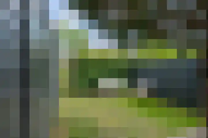 Laan van Avant-Garde 464 Rotterdam thumbnail 30