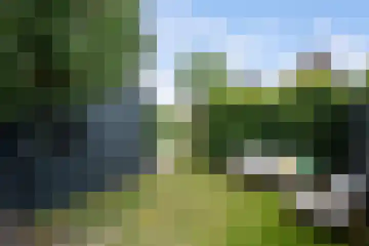 Laan van Avant-Garde 464 Rotterdam thumbnail 31