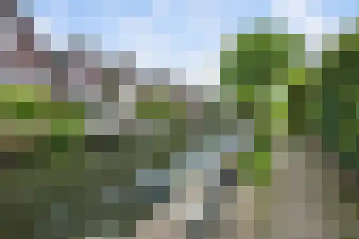 Laan van Avant-Garde 464 Rotterdam thumbnail 34