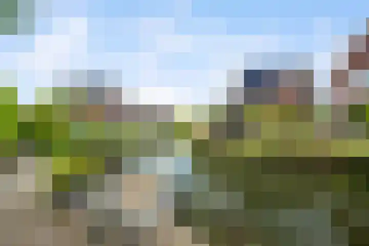 Laan van Avant-Garde 464 Rotterdam thumbnail 35