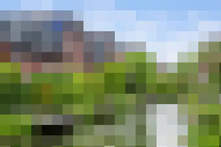 Laan van Avant-Garde 464 Rotterdam thumbnail 36