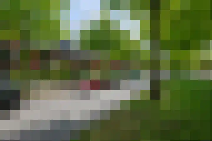Laan van Avant-Garde 464 Rotterdam thumbnail 39