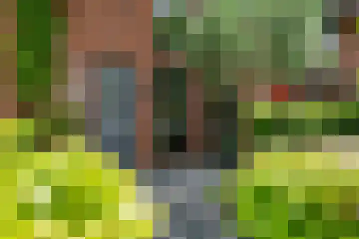 Laan van Avant-Garde 464 Rotterdam thumbnail 5