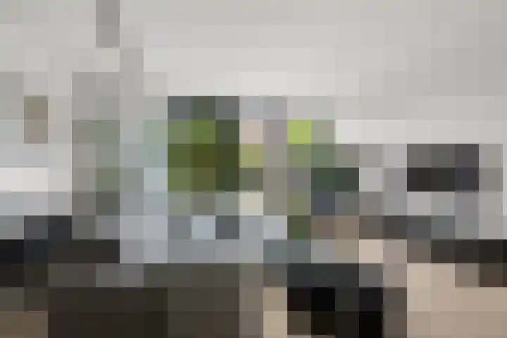 Laan van Avant-Garde 464 Rotterdam thumbnail 6