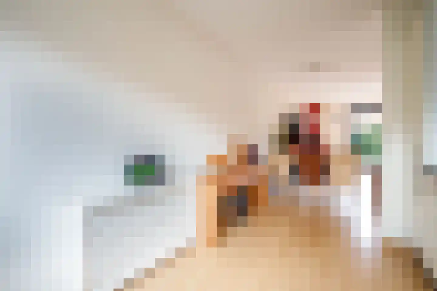 Laan van Avant-Garde 471 Rotterdam thumbnail 15