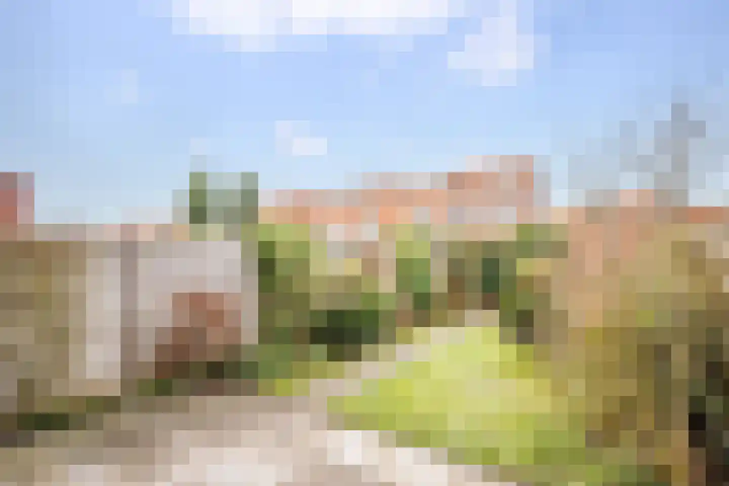 Laan van Avant-Garde 471 Rotterdam thumbnail 28