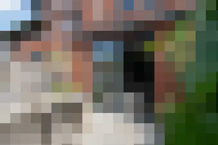Laan van Avant-Garde 477 Rotterdam thumbnail 10