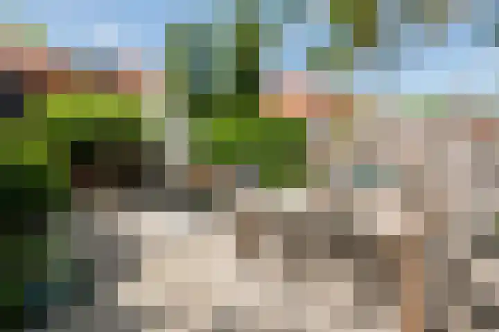 Laan van Avant-Garde 477 Rotterdam thumbnail 11