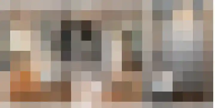 Laan van Avant-Garde 477 Rotterdam thumbnail 12