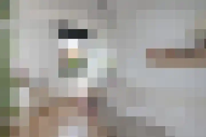 Laan van Avant-Garde 477 Rotterdam thumbnail 13