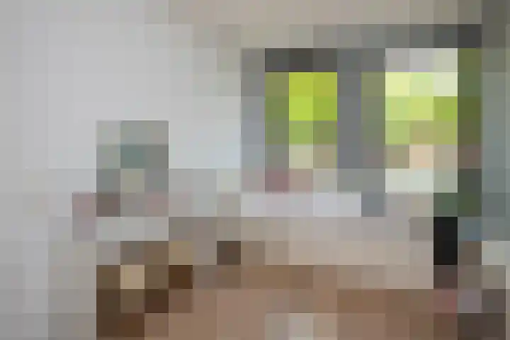 Laan van Avant-Garde 477 Rotterdam thumbnail 15