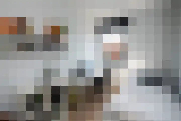 Laan van Avant-Garde 477 Rotterdam thumbnail 17