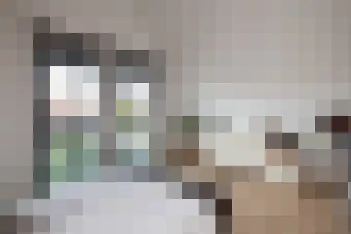 Laan van Avant-Garde 477 Rotterdam thumbnail 22