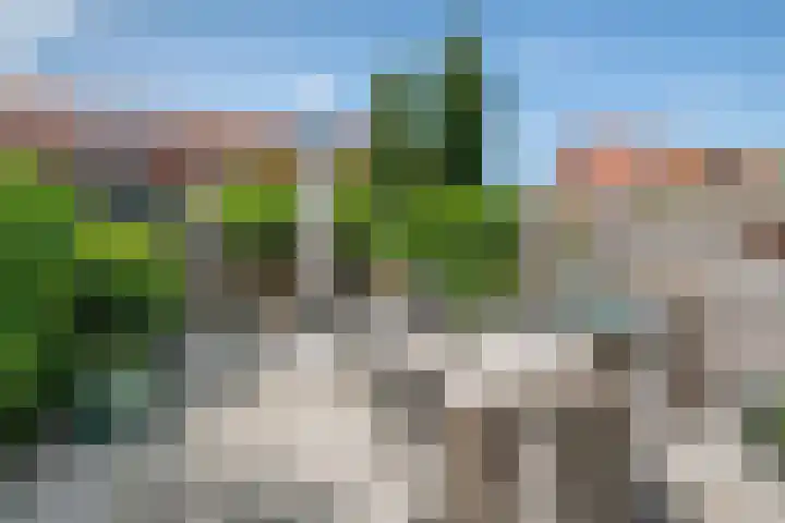 Laan van Avant-Garde 477 Rotterdam thumbnail 24
