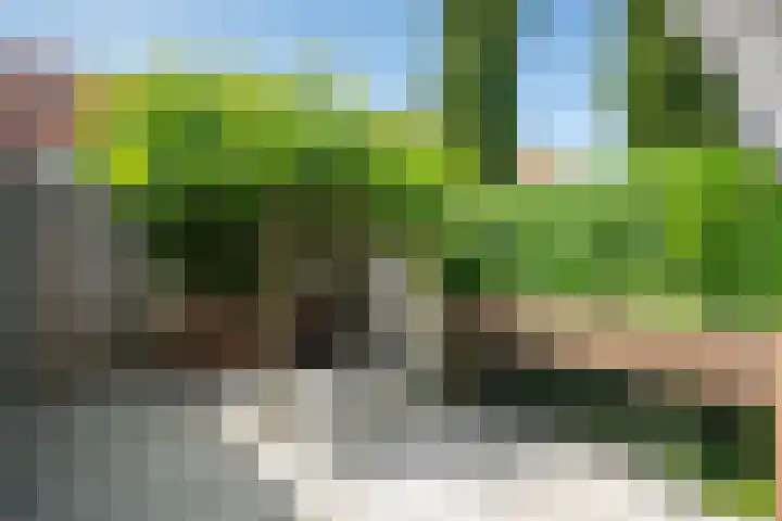 Laan van Avant-Garde 477 Rotterdam thumbnail 25