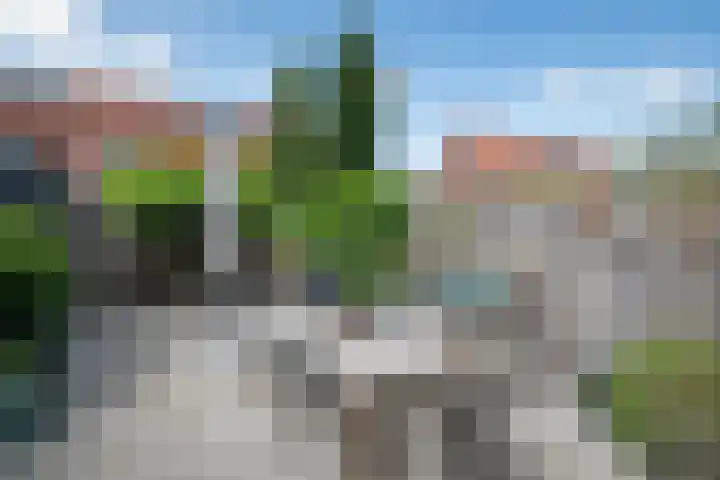 Laan van Avant-Garde 477 Rotterdam thumbnail 26