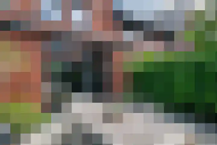 Laan van Avant-Garde 477 Rotterdam thumbnail 27