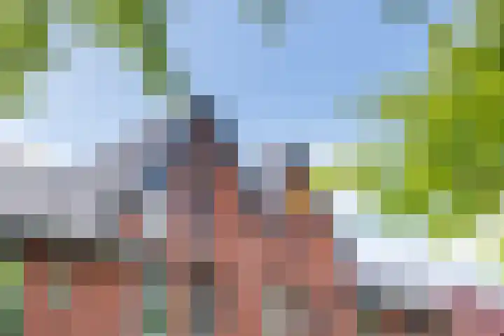 Laan van Avant-Garde 477 Rotterdam thumbnail 28