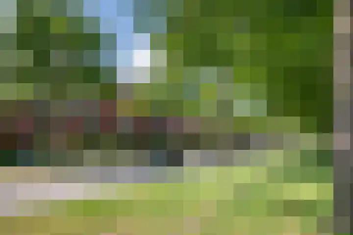 Laan van Avant-Garde 477 Rotterdam thumbnail 30