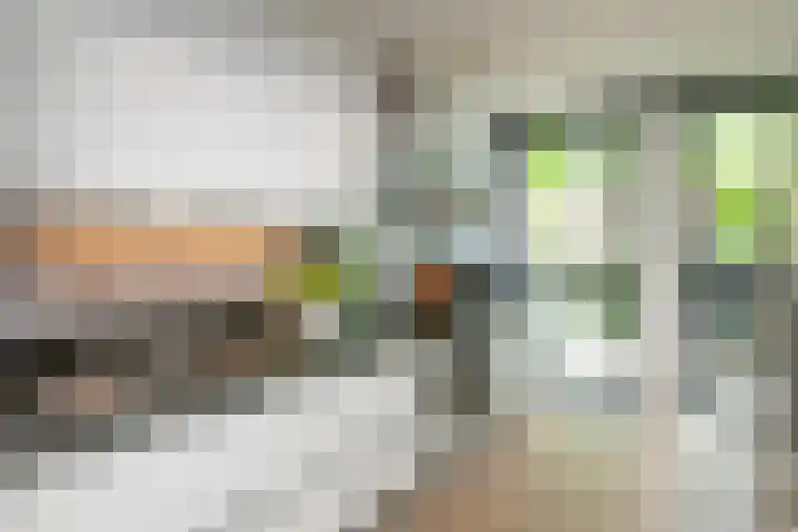 Laan van Avant-Garde 477 Rotterdam thumbnail 4