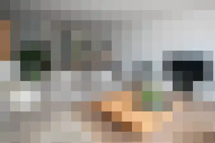 Laan van Avant-Garde 477 Rotterdam thumbnail 8