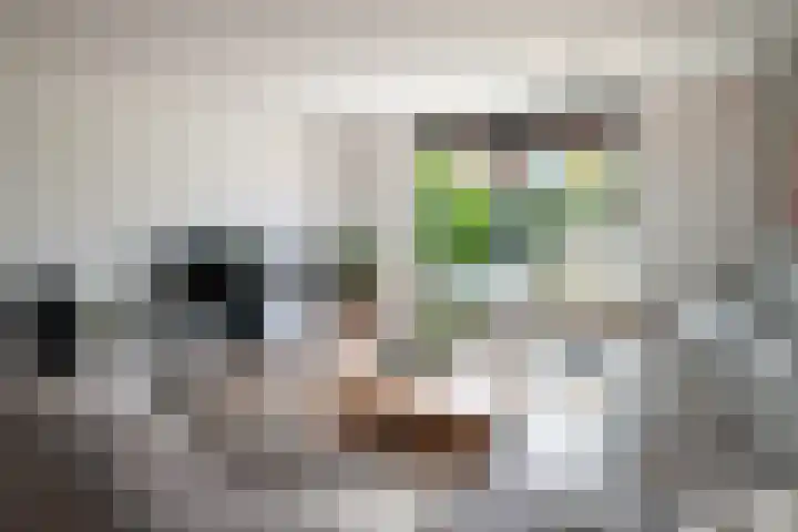 Laan van Avant-Garde 477 Rotterdam thumbnail 9
