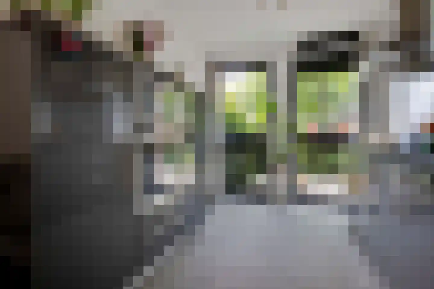 Laan van Avant-Garde 512 Rotterdam thumbnail 15