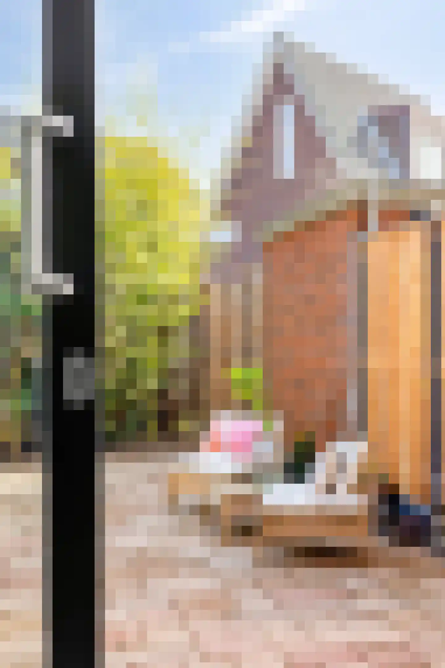 Laan van Avant-Garde 512 Rotterdam thumbnail 18