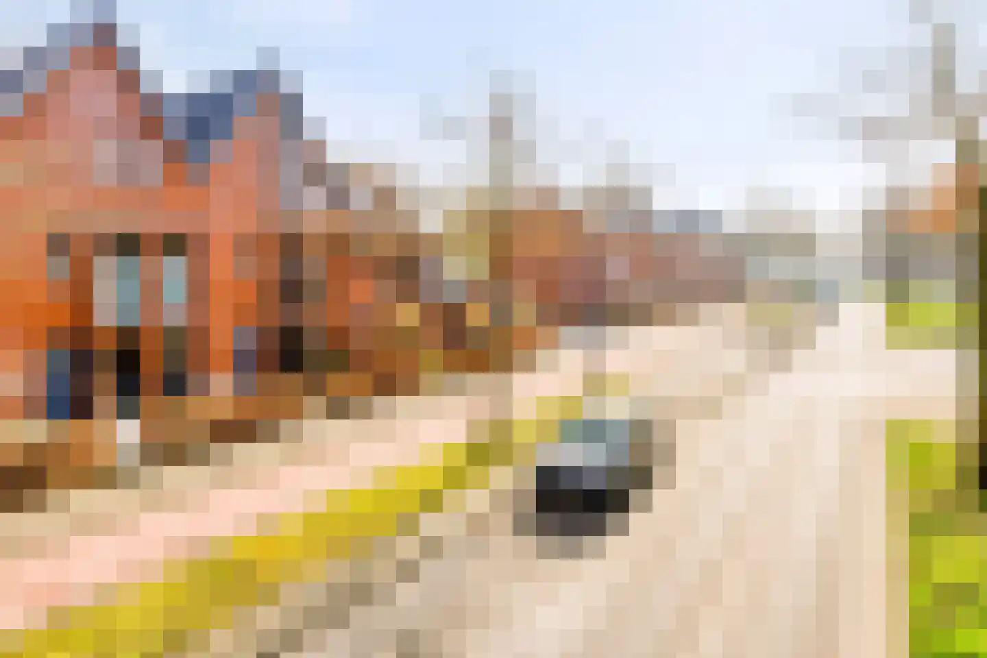 Laan van Avant-Garde 512 Rotterdam thumbnail 31
