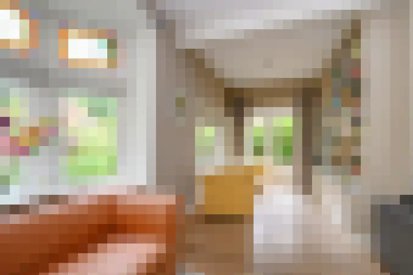 Laan van Avegoor 20 Ellecom thumbnail 10