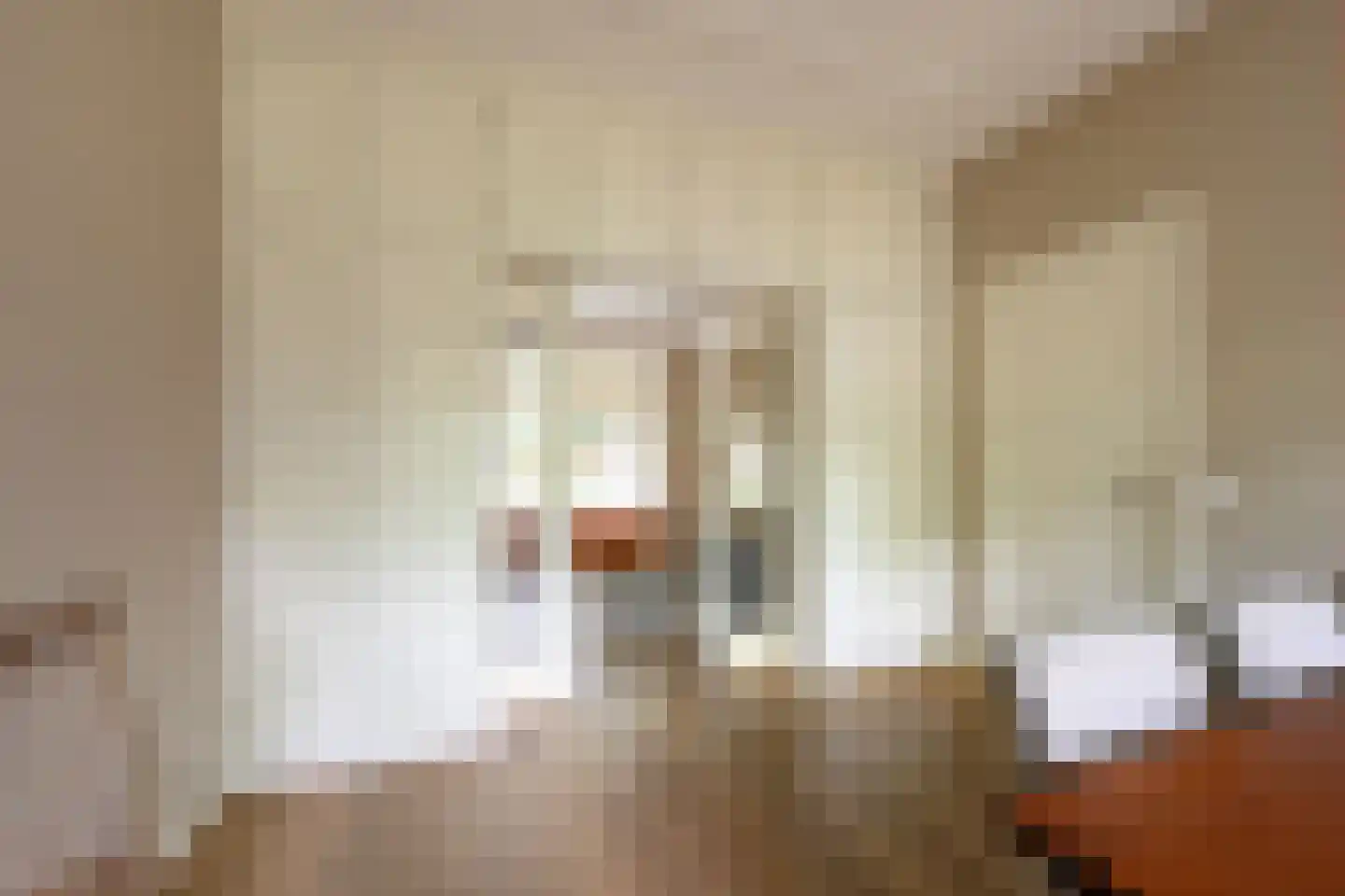 Laan van Avegoor 20 Ellecom thumbnail 13
