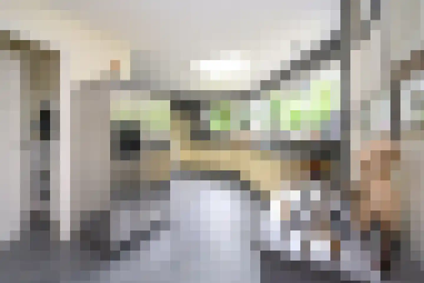 Laan van Avegoor 20 Ellecom thumbnail 14