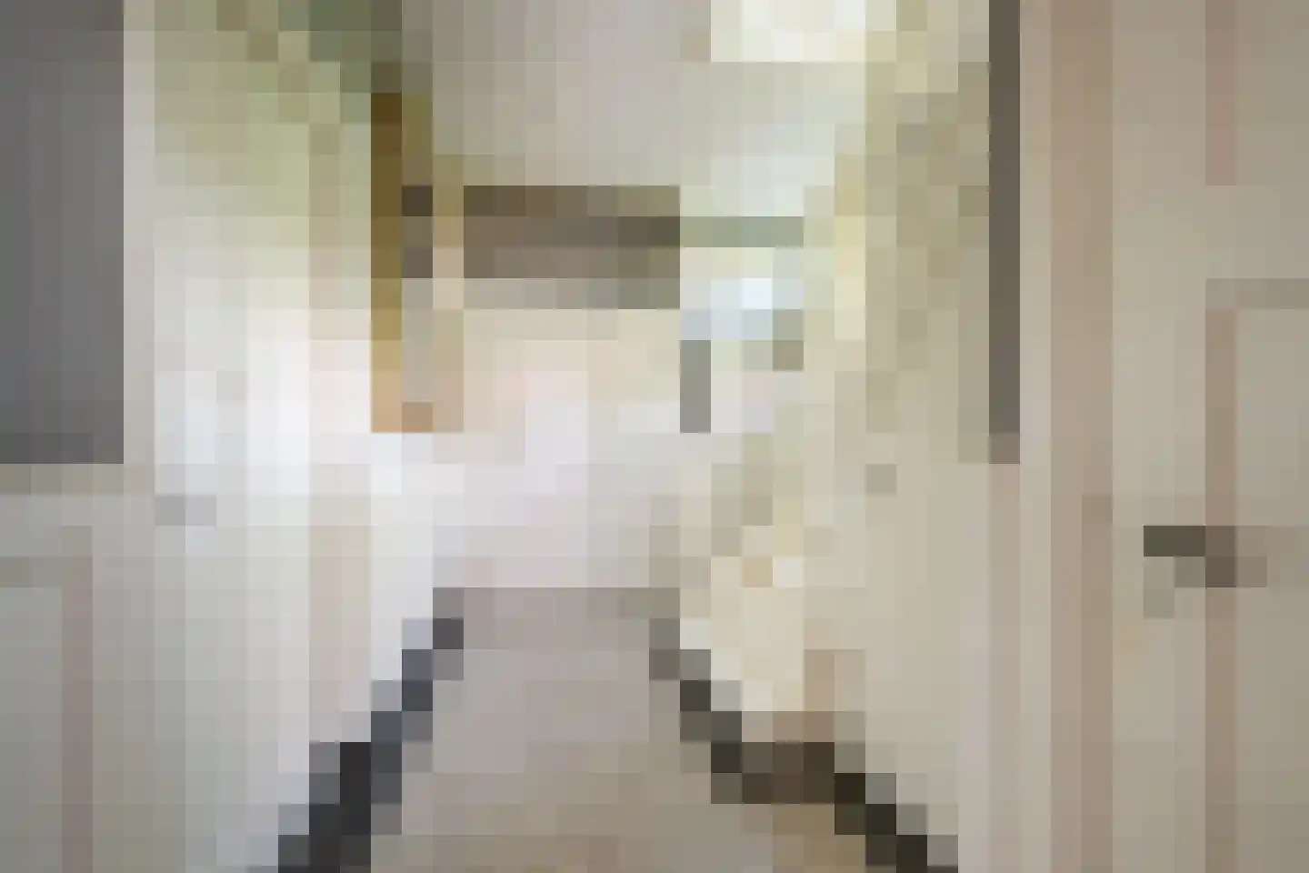 Laan van Avegoor 20 Ellecom thumbnail 17