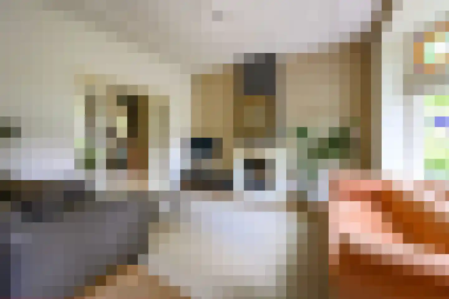 Laan van Avegoor 20 Ellecom foto 2